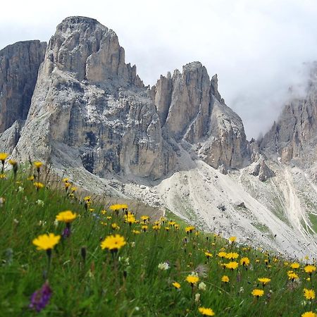 Sporthotel Enrosadira Campitello di Fassa Zewnętrze zdjęcie